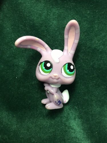 Petshop lapin garenne 828 - 🌺,