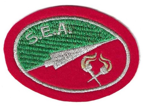 Insigne tissu patch militaire - insigne, tissu,