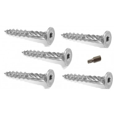 100x vis 6x60mm inox - 100x,