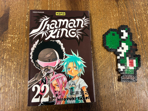 Shaman king vol manga - 22,