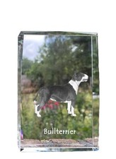 Bull Terrier,Bullterrier -