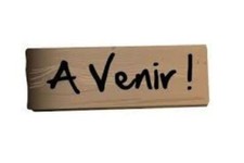 Miss captain chemise chemisier tunique ton kaki taille 42 tbe 