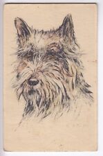 CPA  ANIMAL FANTAISIE -  CHIEN DOG CAIRN TERRIER ECOSSE DESSIN 1945 ~C80