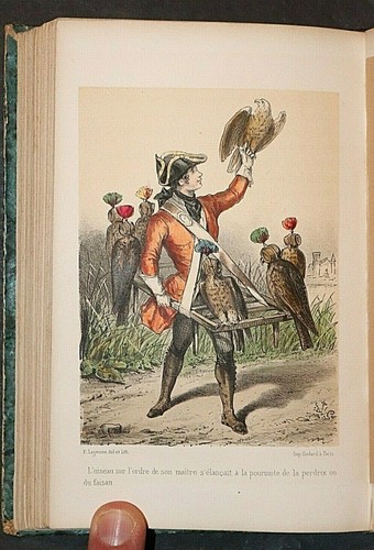 Les petits oiseaux - petits, artistes