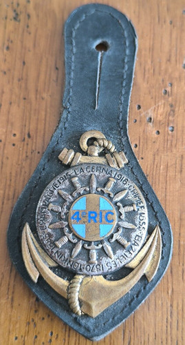 Insigne ric régiment - 4°,