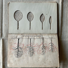LIVRE L'ELAGAGE DES ARBRES 1866 ILLUSTRATION ET DÉCOUPE