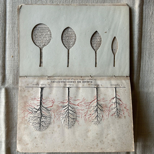 Livre elagage des arbres - livre,
