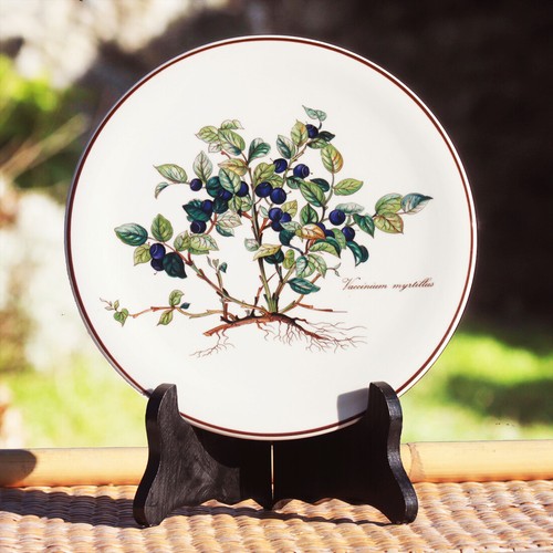 Dessous plat en vitro - plat, 20
