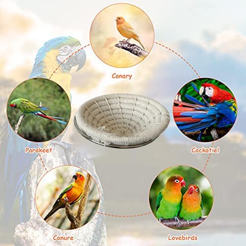 Oiseau facile installer - oiseau,