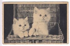 CPA  ANIMAL FANTAISIE -  CHAT CAT KATZE PHOTO 2 CHATONS EN PANIER OSIER 1920~B71