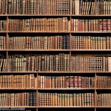 Bibliothèque étagère livre