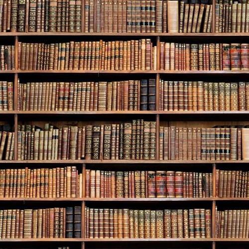 Bibliothèque étagère livre