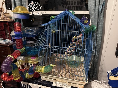 Hamster cage other - hamster, cages