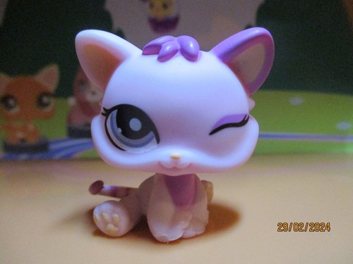 Petshop chaton 1481 - petshop,