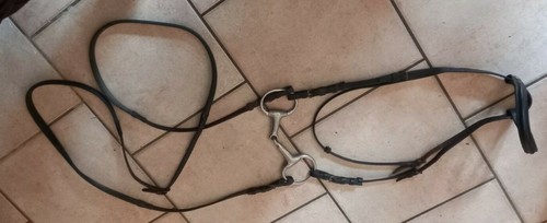 Ensemble bridon licol avec - licol,