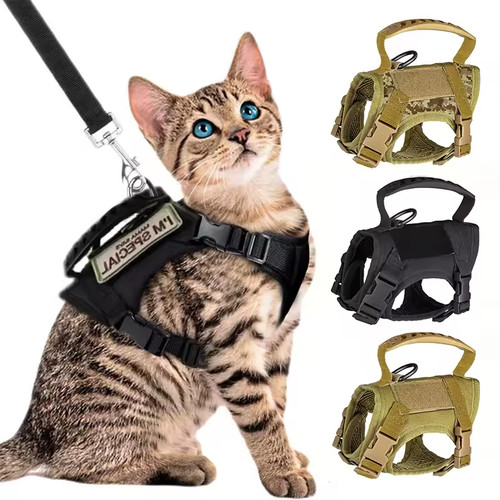 Harnais tactique pour chien - , et