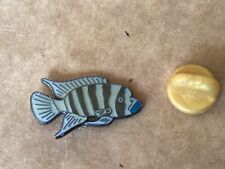 pins CICHLIDES Lac Malawi egf SUBIMAGES especes Afrique Asie poisson exotique