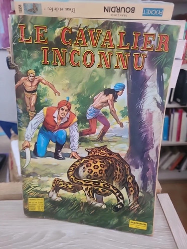 Cavalier inconnu tome 20 - inconnu,