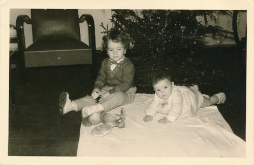 Snapshot noel sapin cadeaux