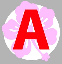 JEUNE CONDUCTEUR FLEUR ROSE