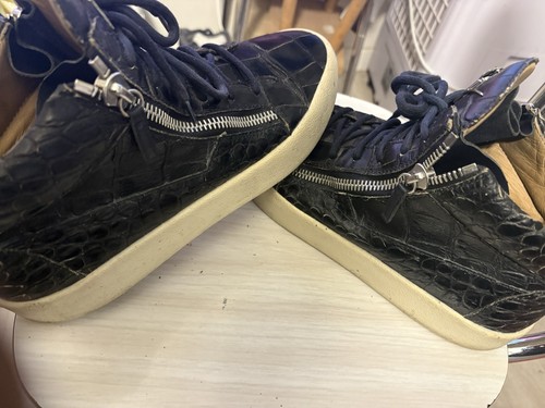 Giuseppe zanotti