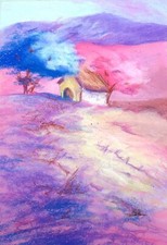 Paysage Provence champs de