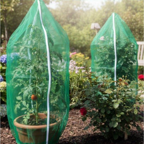 Pour serres arbre fruitier - serres,