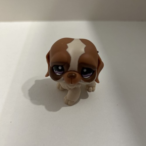 Little pet shop saint bernard - little,