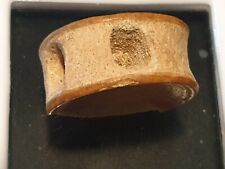 SHARK VERTEBRE - VERTEBRE DE REQUIN FOSSILE PEROU 1JAN24