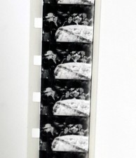 Film super 8  8mm ancien