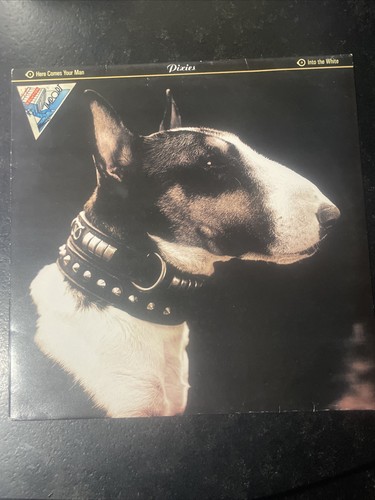 Vinyle pixies here comes - vinyle,