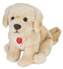 Doré Chien D'Arrêt Par Teddy