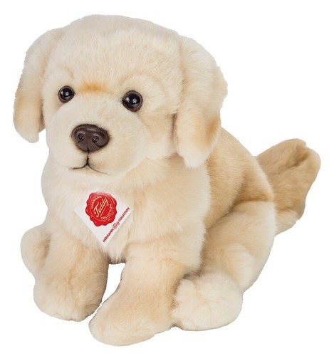 Doré chien arrêt par teddy - par,
