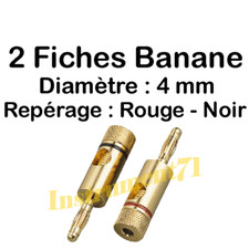 PAIRE DE FICHES BANANE PLAQUE