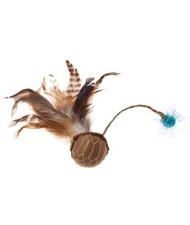 Jouez à la balle sonore avec