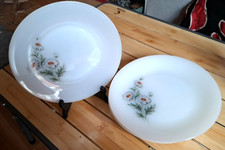 lot de 10 assiettes plates