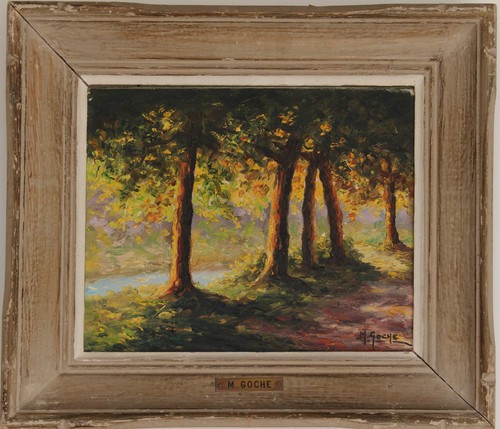 Maurice goche belge - maurice,