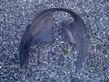 pare boue conducteur d'occasion de Partner ou berlingo , 9644711180 (réf 7769)