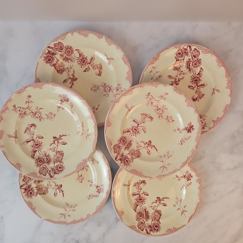 Assiettes plates service - plates,