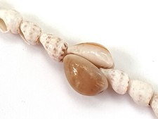 COLLIER DE COQUILLAGES NATURELS DU PACIFIQUE FANTAISIE ANNÉES 70 COLLECTION N° 7