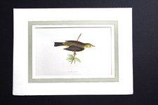 Gravure anglaise ancienne de