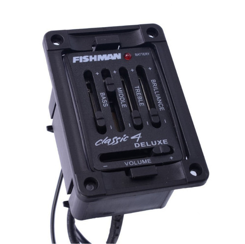 Fishman band acoustic guitar - band,
