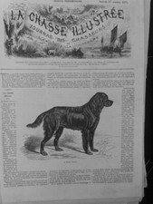 1877 SETTER GORDON CHASSE