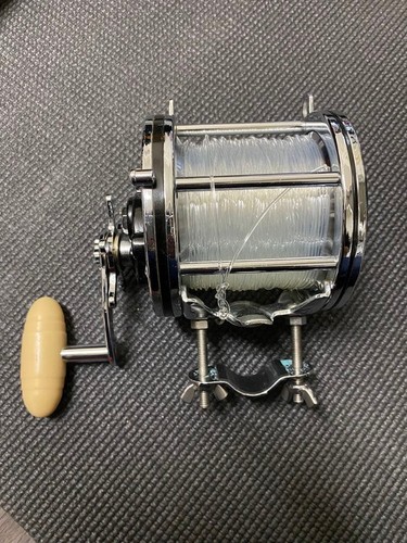 Penn senator reel - penn, 6/0