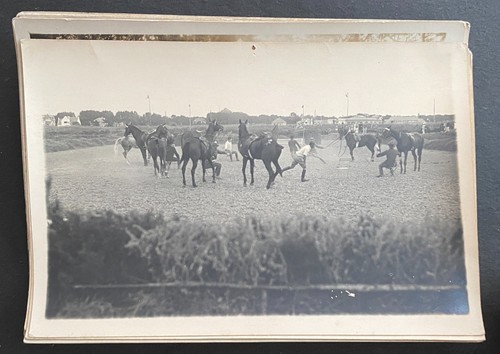 Photographie manege saint - photographie,