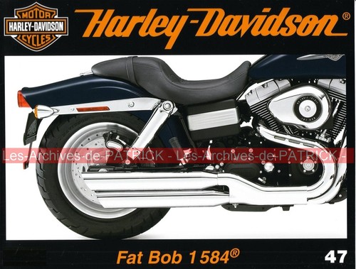 Harley davidson fxdf 1584 - 1584, fat