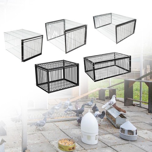 Cage oiseaux fer - en,