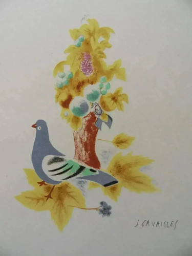 Jules cavailles pigeon - cavailles, et