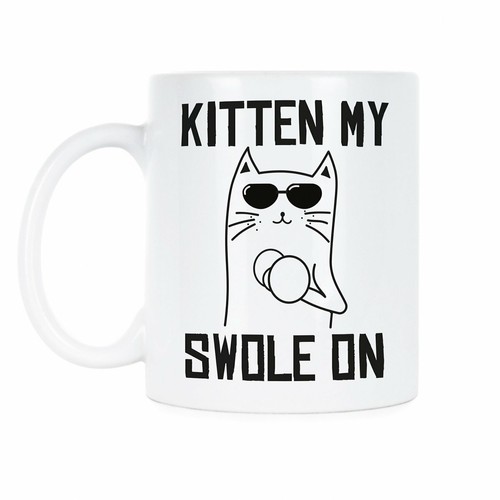 Kitten swole funny - my, on