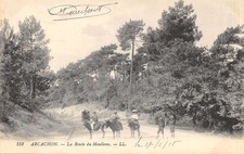 33-ARCACHON-BALADE A DOS D ANE ROUTE DU MOULLEAU-N 6016-A/0123